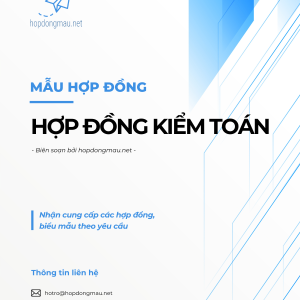 Hợp đồng kiểm toán